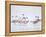 Lesser Flamingoes in Fog-Arthur Morris-Framed Premier Image Canvas