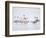 Lesser Flamingoes in Fog-Arthur Morris-Framed Photographic Print