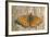 Lesser Marbled Fritillary on Wood, Weathered-Harald Kroiss-Framed Photographic Print