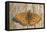 Lesser Marbled Fritillary on Wood, Weathered-Harald Kroiss-Framed Premier Image Canvas