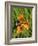 Lesser Marbled Fritillary-Harald Kroiss-Framed Photographic Print