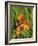 Lesser Marbled Fritillary-Harald Kroiss-Framed Photographic Print