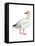 Lesser Snow Goose (Chen Caerulescens Caerulescens), Birds-Encyclopaedia Britannica-Framed Stretched Canvas