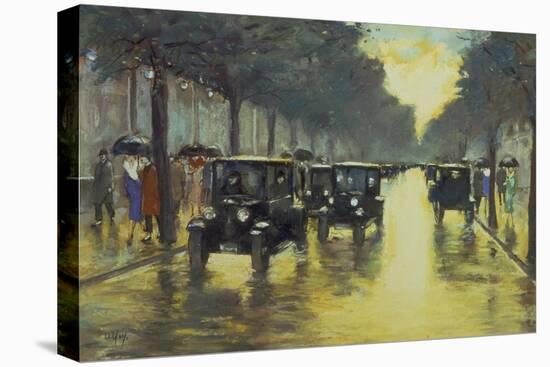 Stretched Canvas Print, , large