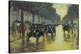 Stretched Canvas Print