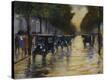 Stretched Canvas Print