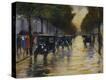 Stretched Canvas Print