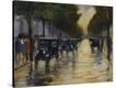 Stretched Canvas Print