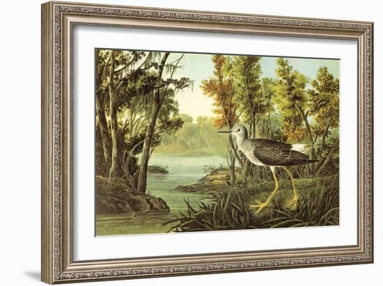 Lesser Yellow Legs-John James Audubon-Framed Art Print