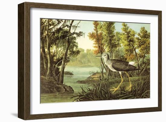 Lesser Yellow Legs-John James Audubon-Framed Art Print