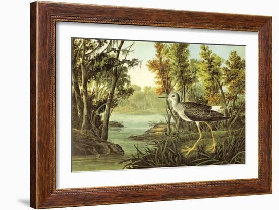 Lesser Yellow Legs-John James Audubon-Framed Art Print