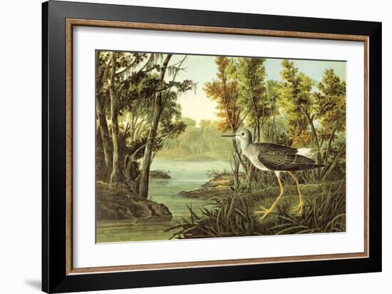 Lesser Yellow Legs-John James Audubon-Framed Art Print