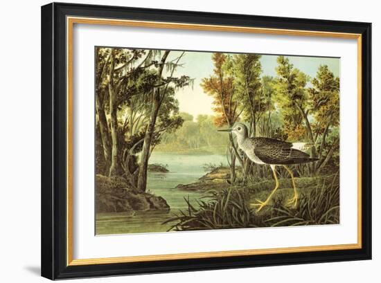 Lesser Yellow Legs-John James Audubon-Framed Art Print