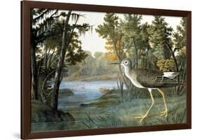 Lesser Yellowlegs-John James Audubon-Framed Giclee Print