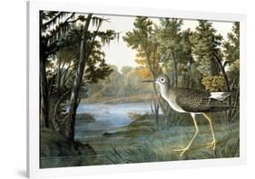 Lesser Yellowlegs-John James Audubon-Framed Giclee Print