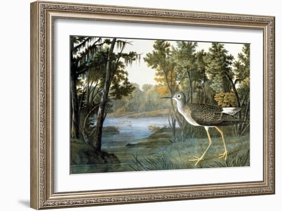 Lesser Yellowlegs-John James Audubon-Framed Giclee Print