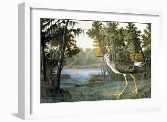 Lesser Yellowlegs-John James Audubon-Framed Giclee Print