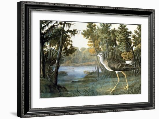 Lesser Yellowlegs-John James Audubon-Framed Giclee Print