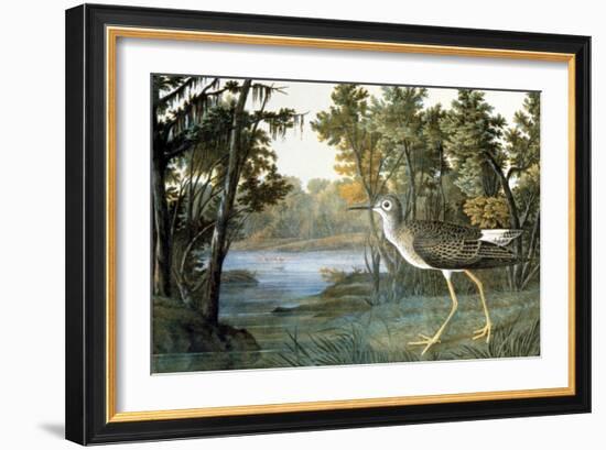 Lesser Yellowlegs-John James Audubon-Framed Giclee Print