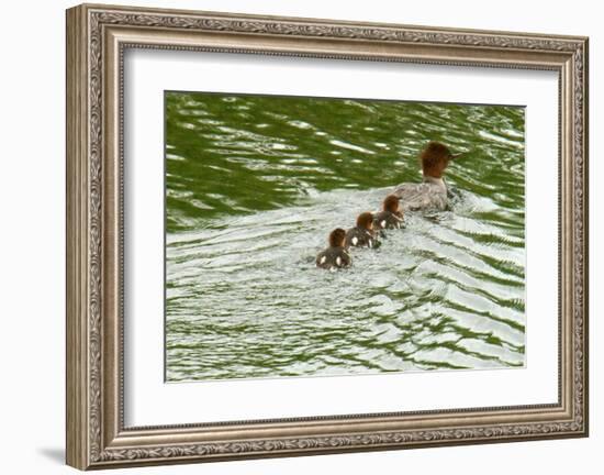 Lessons from Mother Duck-Charles Glover-Framed Giclee Print