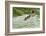 Lessons from Mother Duck-Charles Glover-Framed Giclee Print