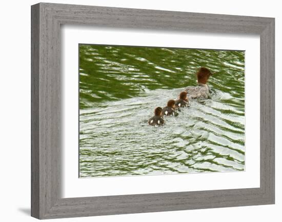 Lessons from Mother Duck-Charles Glover-Framed Giclee Print