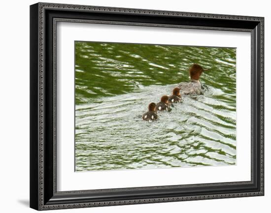 Lessons from Mother Duck-Charles Glover-Framed Giclee Print