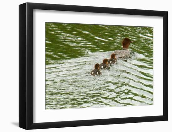 Lessons from Mother Duck-Charles Glover-Framed Giclee Print