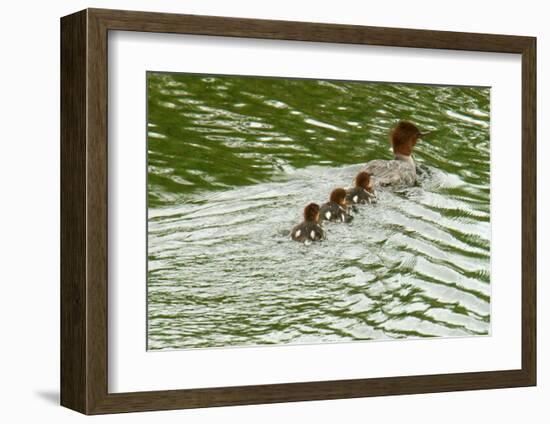 Lessons from Mother Duck-Charles Glover-Framed Giclee Print