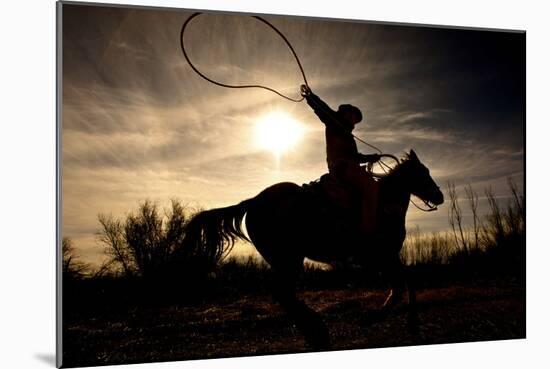 Let Her Fly-Dan Ballard-Mounted Photographic Print