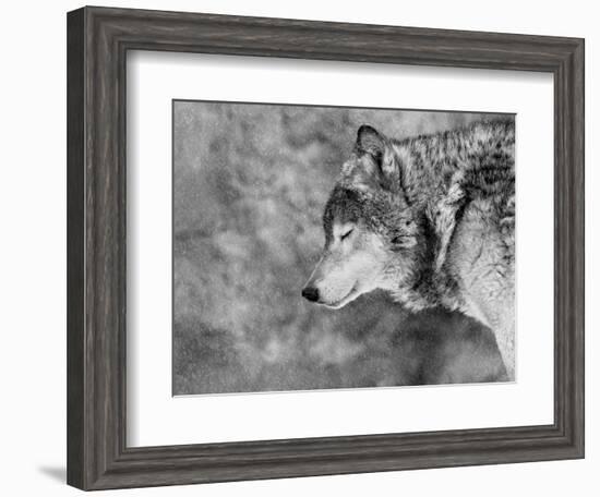 Let it Snow-Victoria Ivanova-Framed Photographic Print