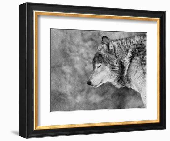 Let it Snow-Victoria Ivanova-Framed Photographic Print