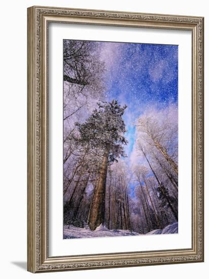 Let it snow-Philippe Sainte-Laudy-Framed Photographic Print