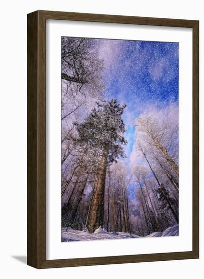 Let it snow-Philippe Sainte-Laudy-Framed Photographic Print