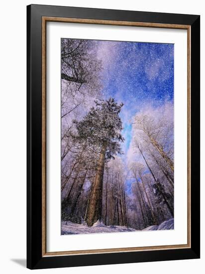 Let it snow-Philippe Sainte-Laudy-Framed Photographic Print