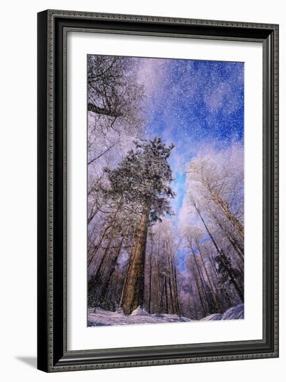 Let it snow-Philippe Sainte-Laudy-Framed Photographic Print