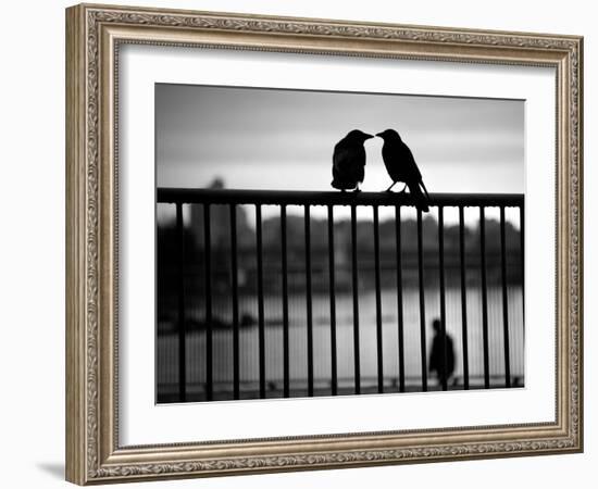 Let's Be Quiet Together-Sharon Wish-Framed Photographic Print