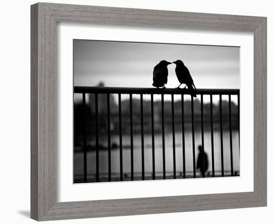 Let's Be Quiet Together-Sharon Wish-Framed Photographic Print