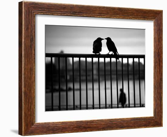 Let's Be Quiet Together-Sharon Wish-Framed Photographic Print