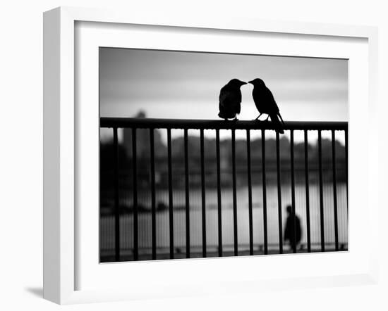 Let's Be Quiet Together-Sharon Wish-Framed Photographic Print