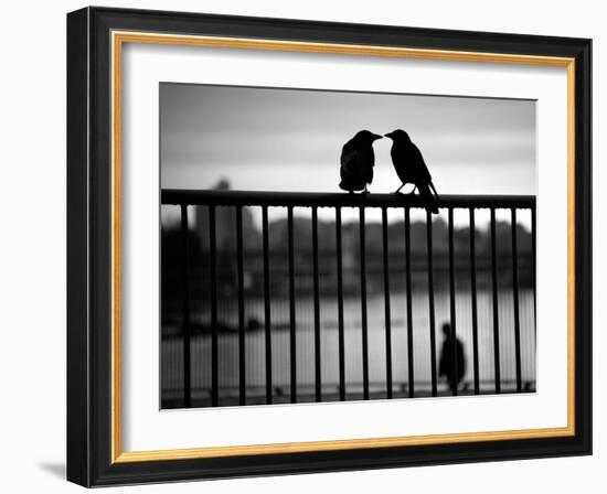 Let's Be Quiet Together-Sharon Wish-Framed Photographic Print