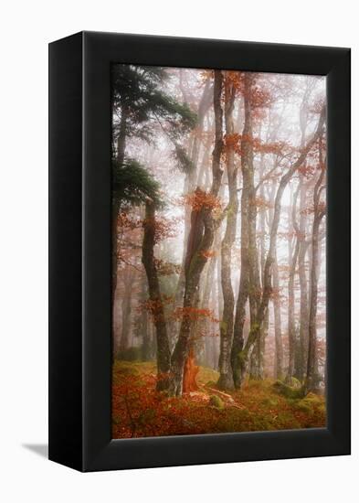 Let's Get Lost-Philippe Sainte-Laudy-Framed Premier Image Canvas