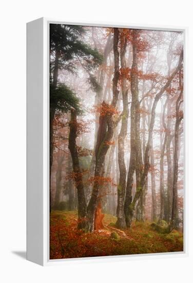 Let's Get Lost-Philippe Sainte-Laudy-Framed Premier Image Canvas