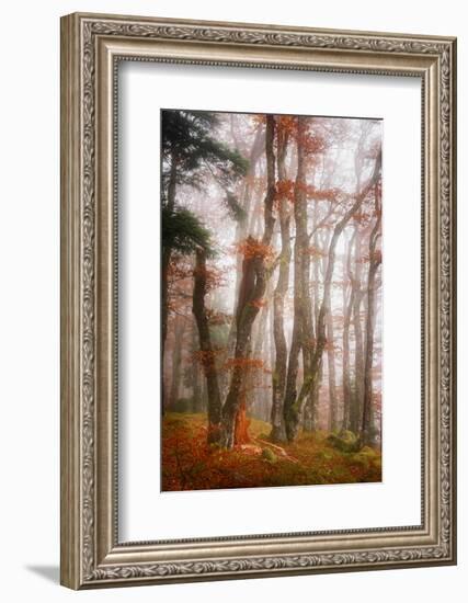 Let's Get Lost-Philippe Sainte-Laudy-Framed Photographic Print