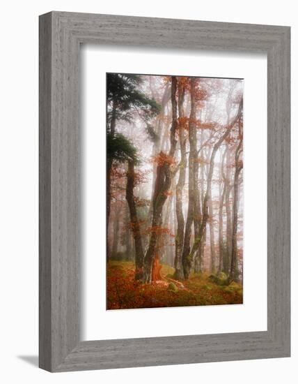 Let's Get Lost-Philippe Sainte-Laudy-Framed Photographic Print