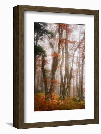 Let's Get Lost-Philippe Sainte-Laudy-Framed Photographic Print