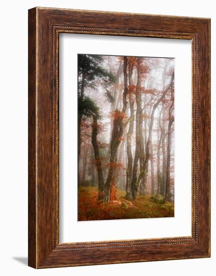 Let's Get Lost-Philippe Sainte-Laudy-Framed Photographic Print