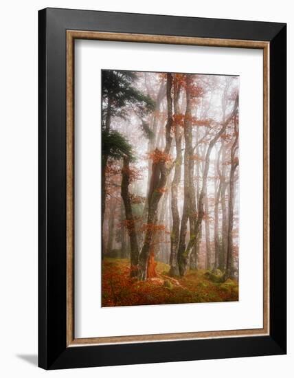 Let's Get Lost-Philippe Sainte-Laudy-Framed Photographic Print