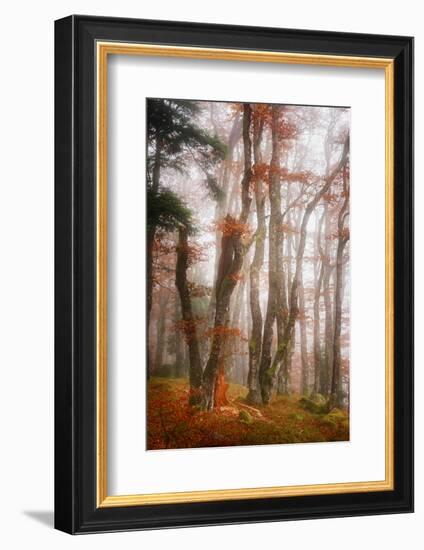 Let's Get Lost-Philippe Sainte-Laudy-Framed Photographic Print