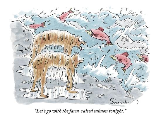 Let S Go With The Farm Raised Salmon Tonight New Yorker Cartoon Premium Giclee Print Danny Shanahan Art Com
